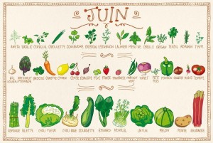 Juin - calendrier des fruits et légumes de saison 