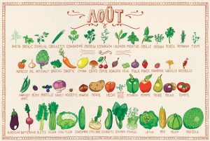 Aout - calendrier des fruits et légumes de saison 